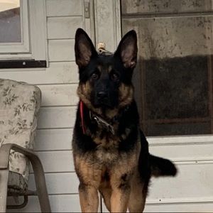 Meet your Posher, Erica